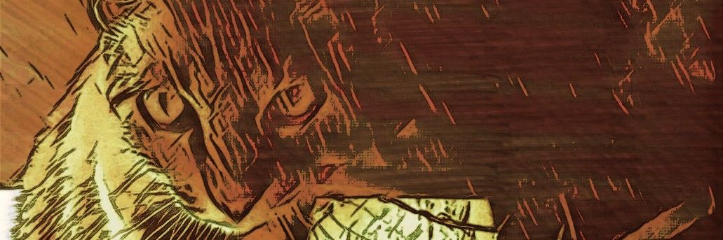 noel_marin's profile banner image