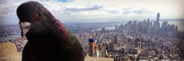 Farshad_Aria Profile Banner