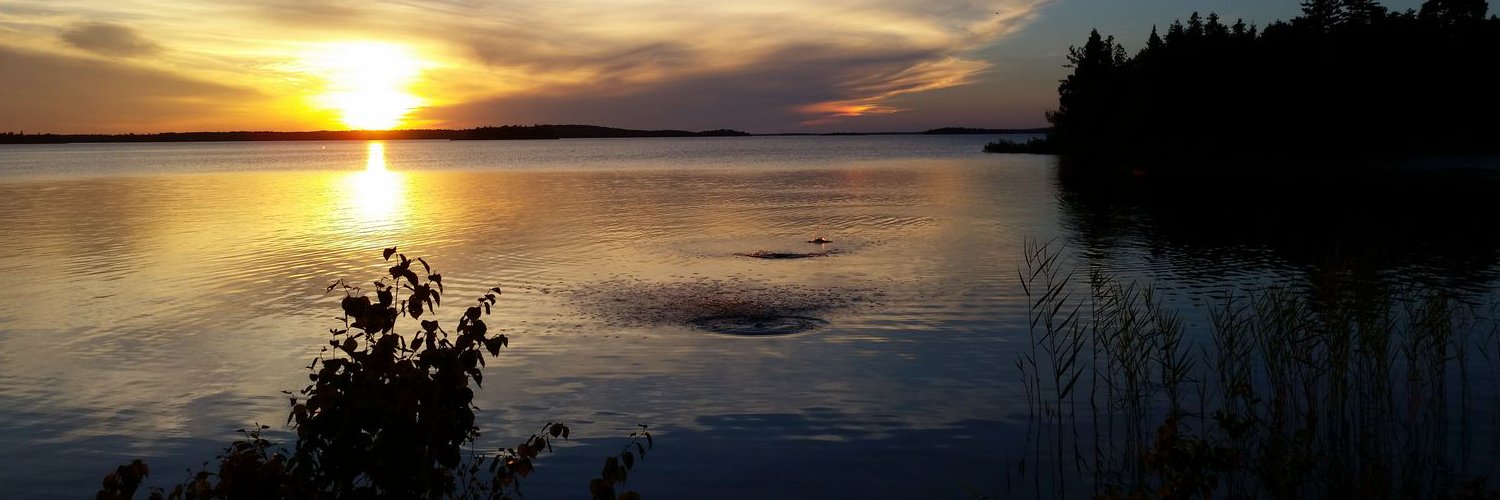WestMIBass's profile banner image