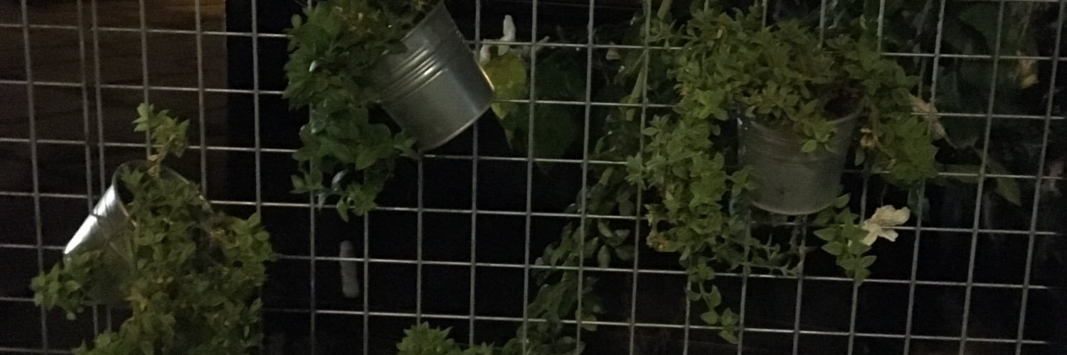 zizikkoo's profile banner image