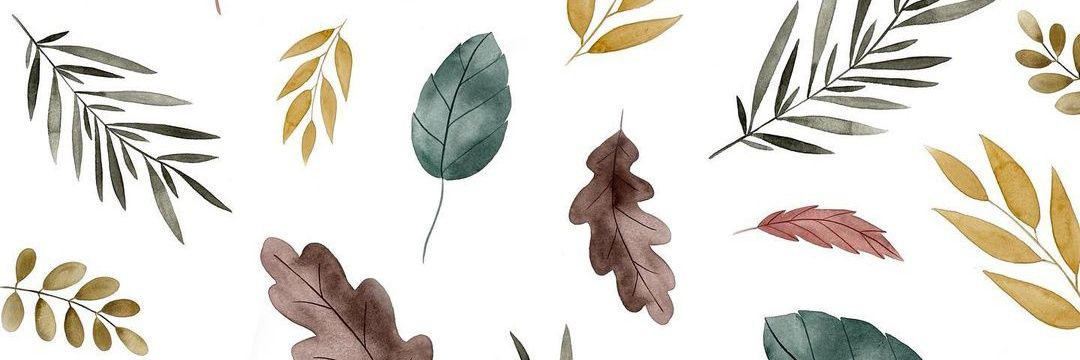 Miriam_Sies's profile banner image