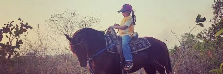 Laura Núñez banner