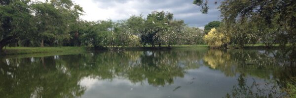 Sagudelolopez Profile Banner