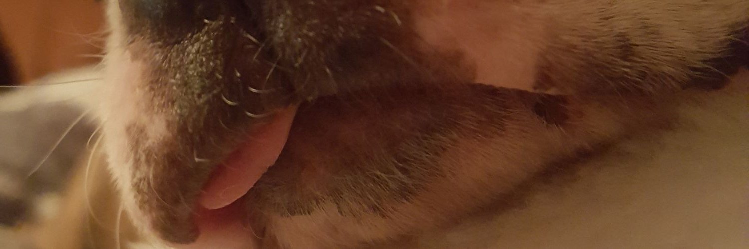 joshiemac25's profile banner image