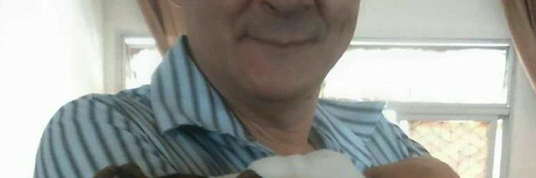 livio2020's profile banner image