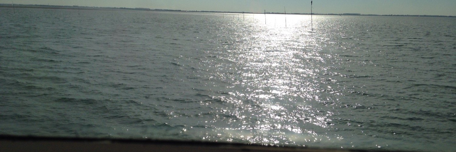 wvandaal's profile banner image