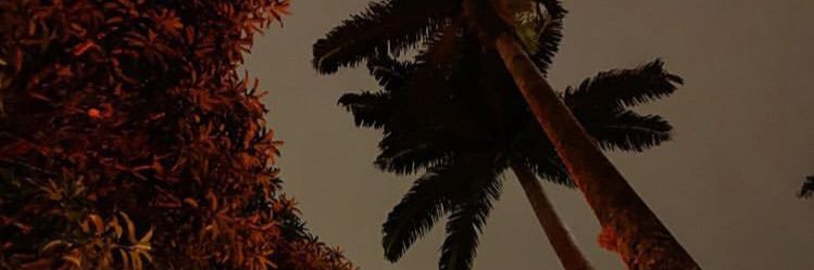 camparonii's profile banner image
