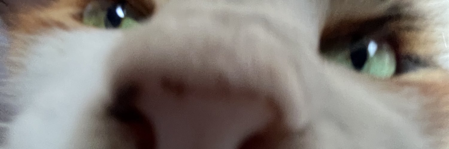 _opaluiz's profile banner image