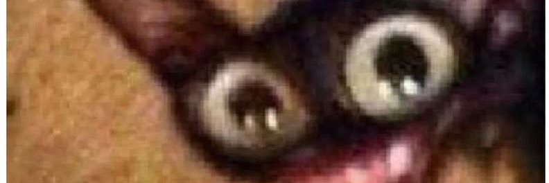 dannlins's profile banner image
