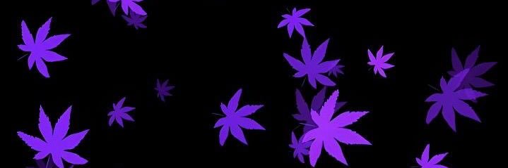 RudeboyRash's profile banner image