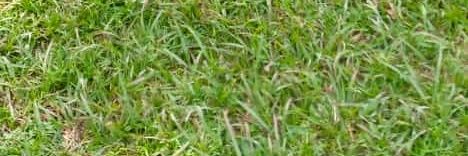 devis_kule's profile banner image
