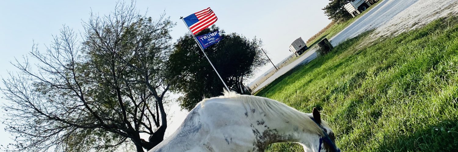 mightywhitey68's profile banner image
