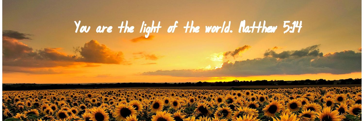 LightLove1111's profile banner image