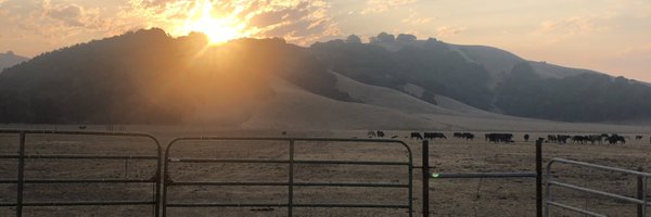 ClayFragulia Profile Banner