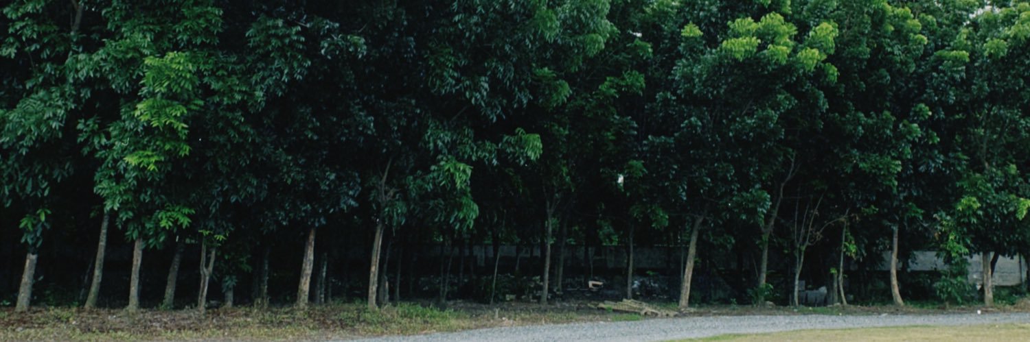 jansenadeleon's profile banner image