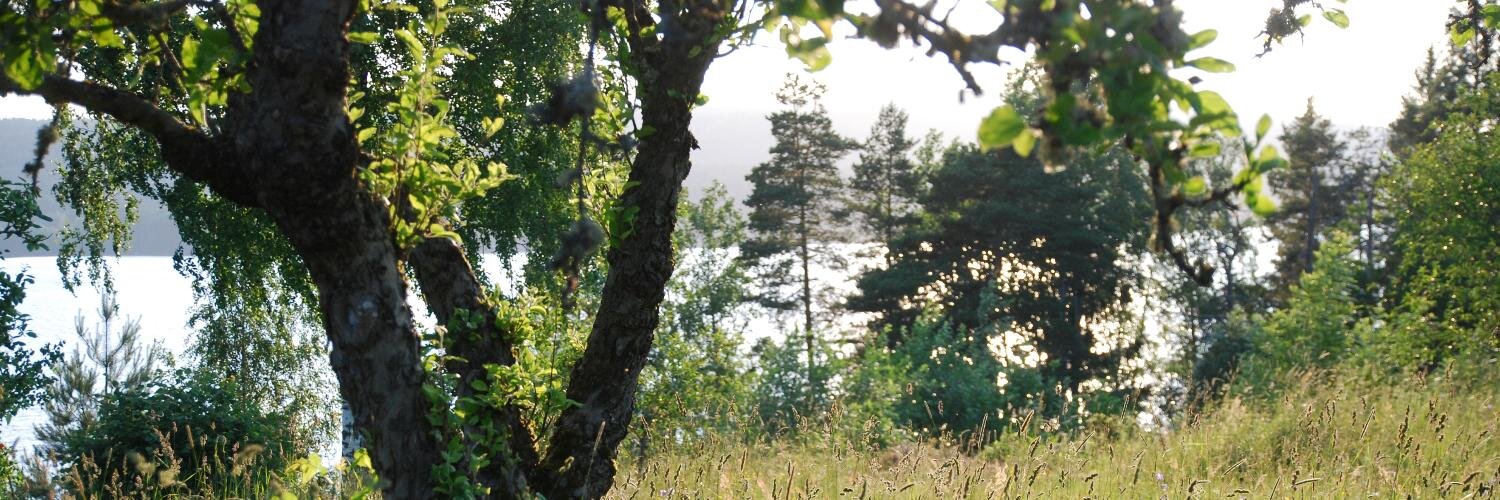 annanilsdotter's profile banner image