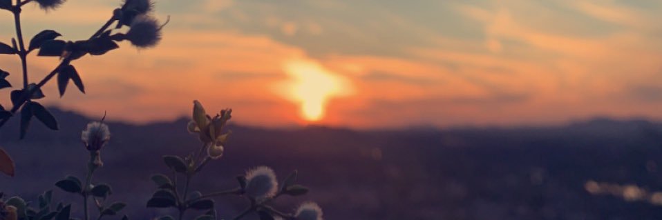 ehvity's profile banner image