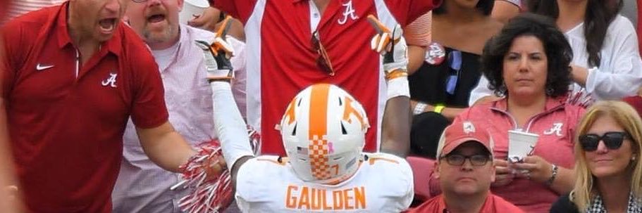 VFLDUNN's profile banner image