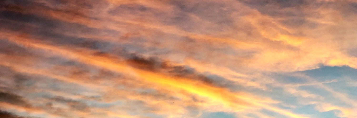 TT17217's profile banner image