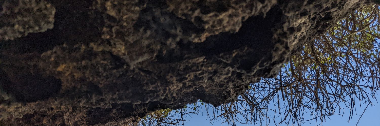 Aspyie's profile banner image