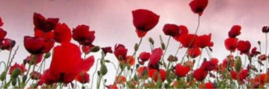 oarslan_han's profile banner image