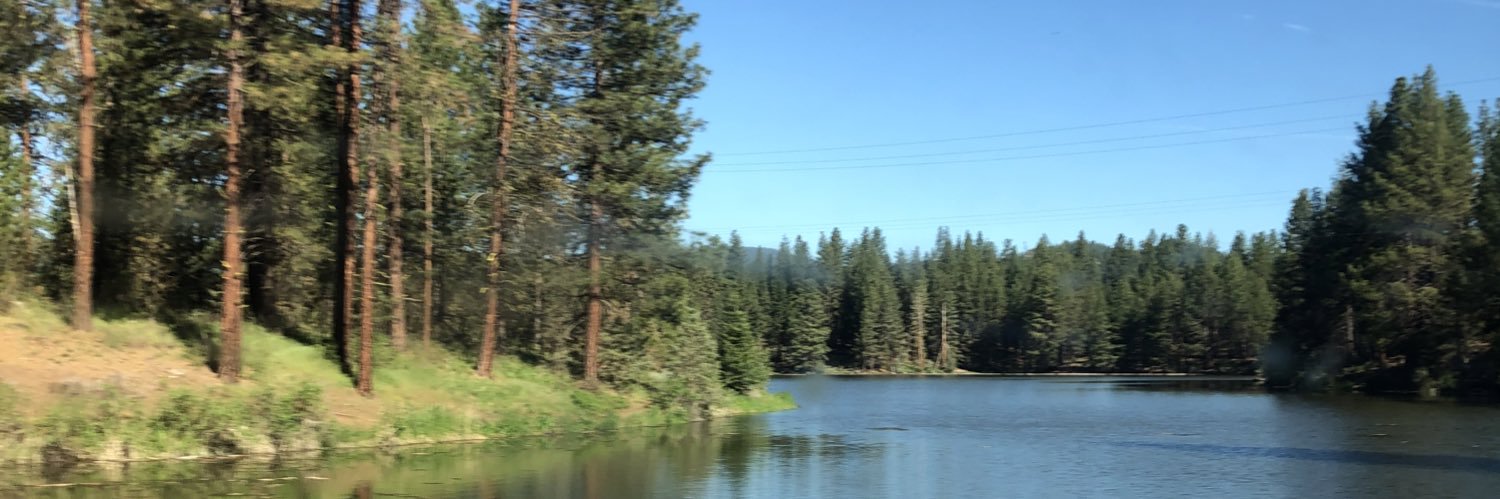 TeesLocker's profile banner image