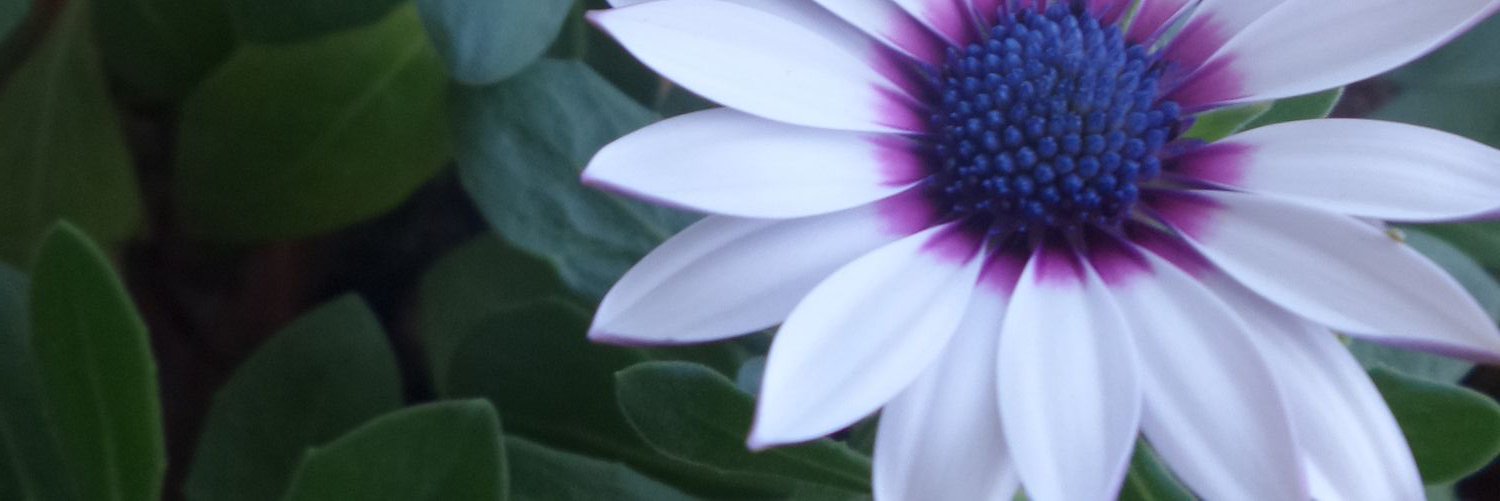 PutaForrita's profile banner image