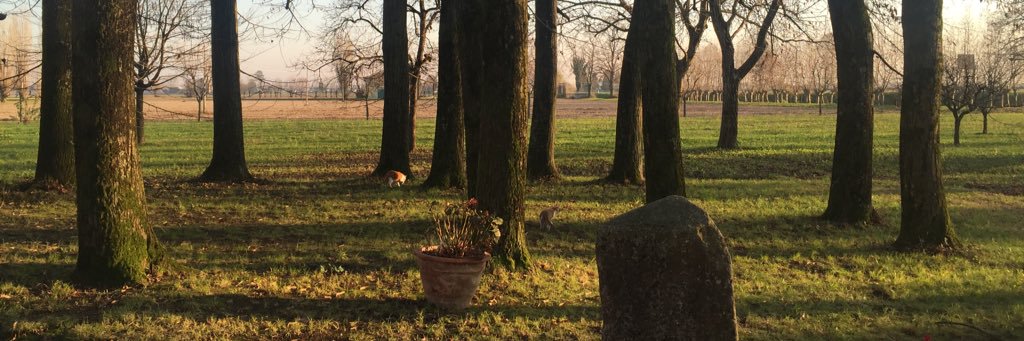 OrsolaRiva's profile banner image