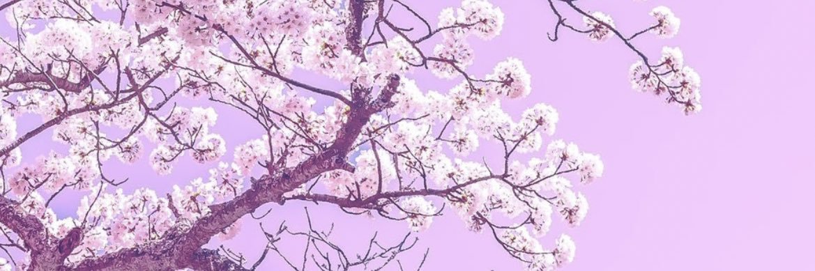 erxc_z's profile banner image
