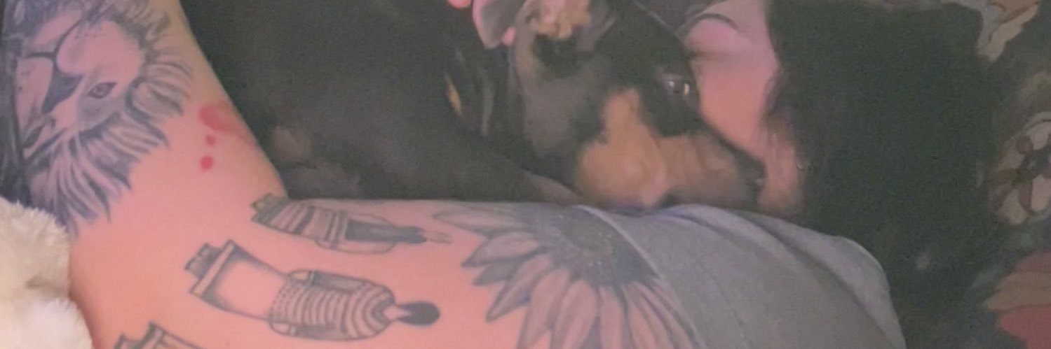 LaceeHalligan's profile banner image