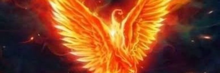 Steril Anka(Filiz Aksu) banner