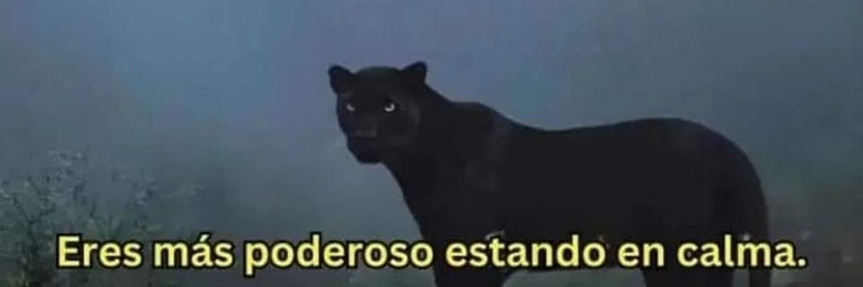 AlueLobo's profile banner image