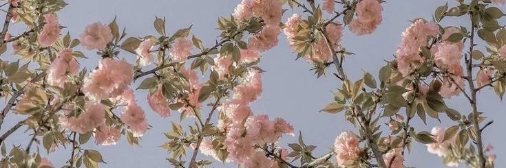 Mariana Durand banner