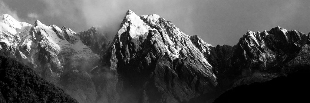 ∂αя¢у ℓєωιѕ banner