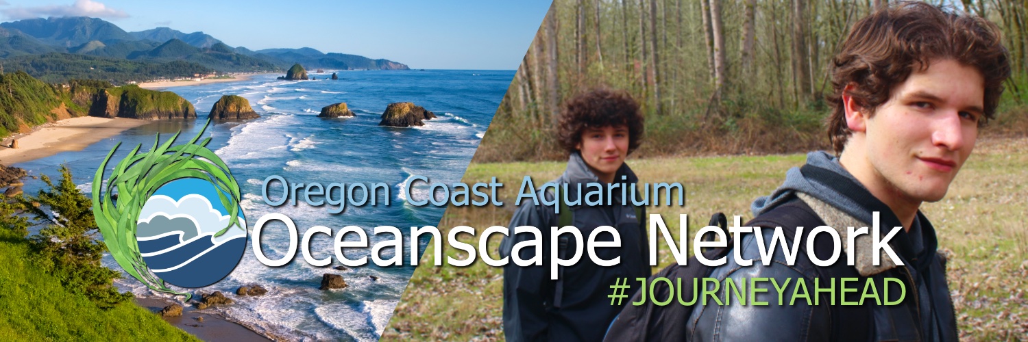 OceanscapeNet's profile banner image