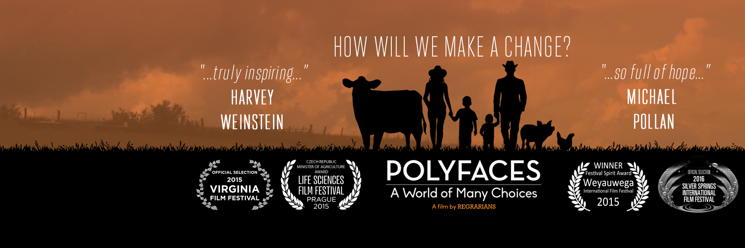 polyfaces's profile banner image