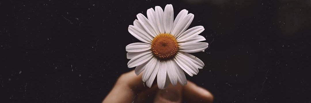 HiraiZerdüş banner