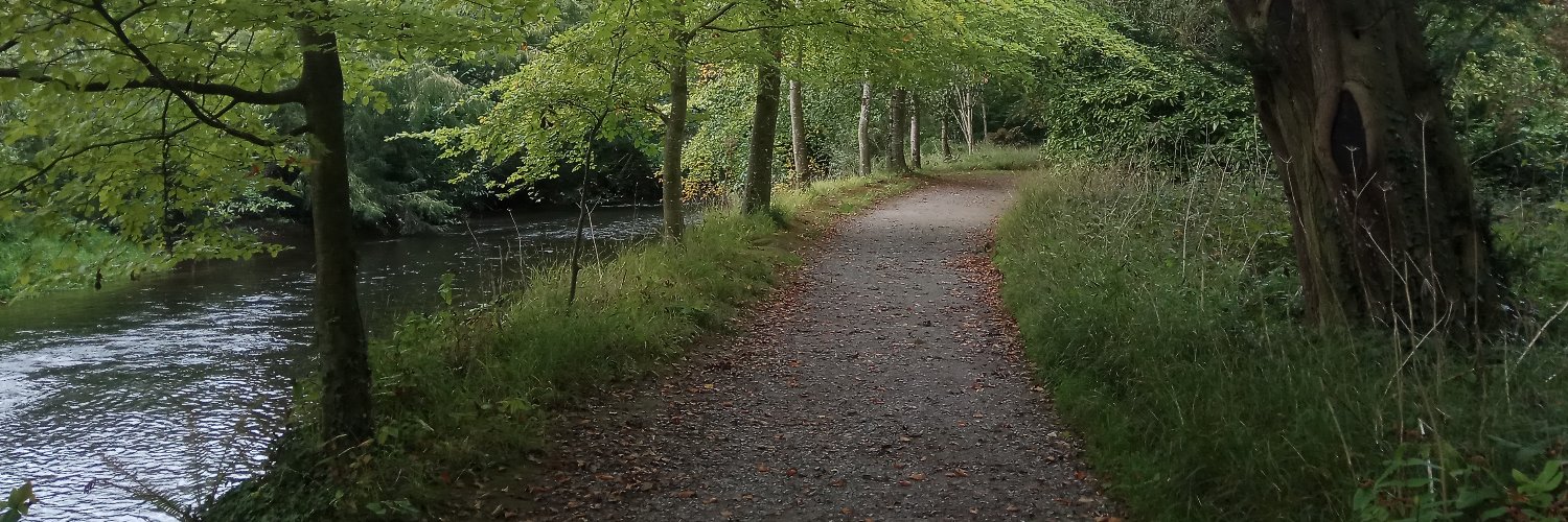 Mariana Ciocca Alves Passos banner