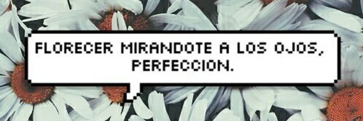 MaVicctoria's profile banner image