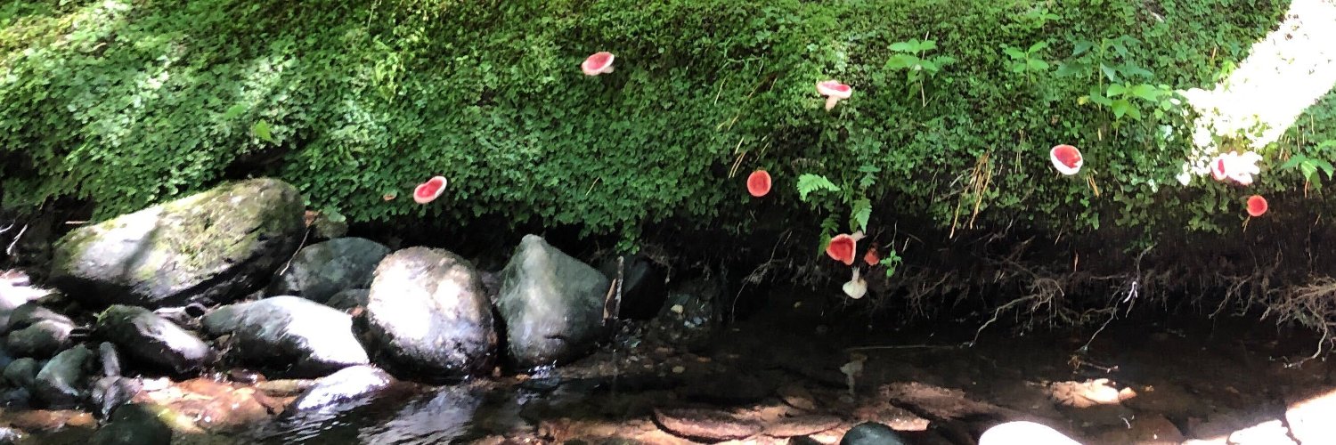 AlexandraEaton banner