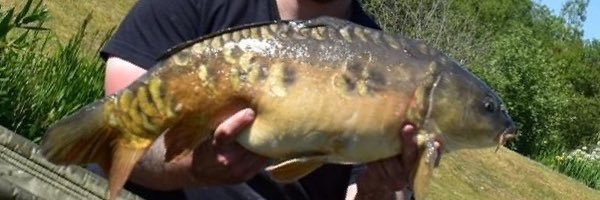 michaelp1573's profile banner image