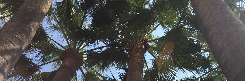 BryonyFB's profile banner image