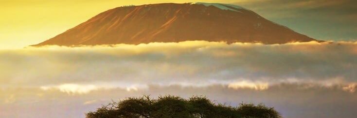 Just_Muni's profile banner image