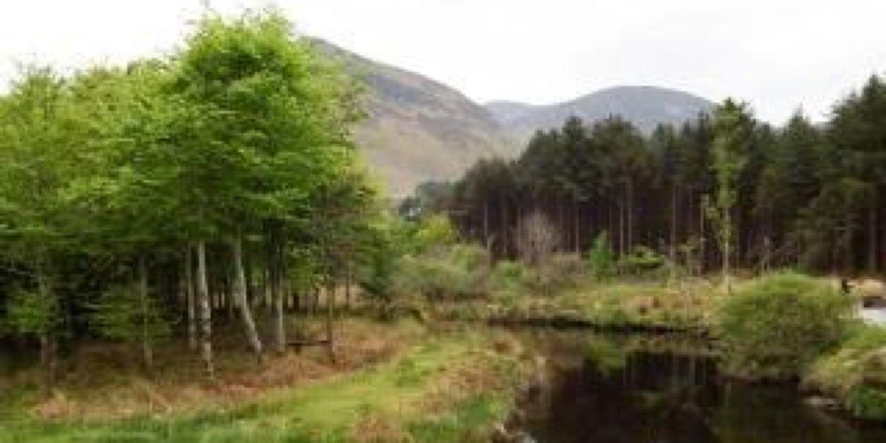 Ireland's Weather banner