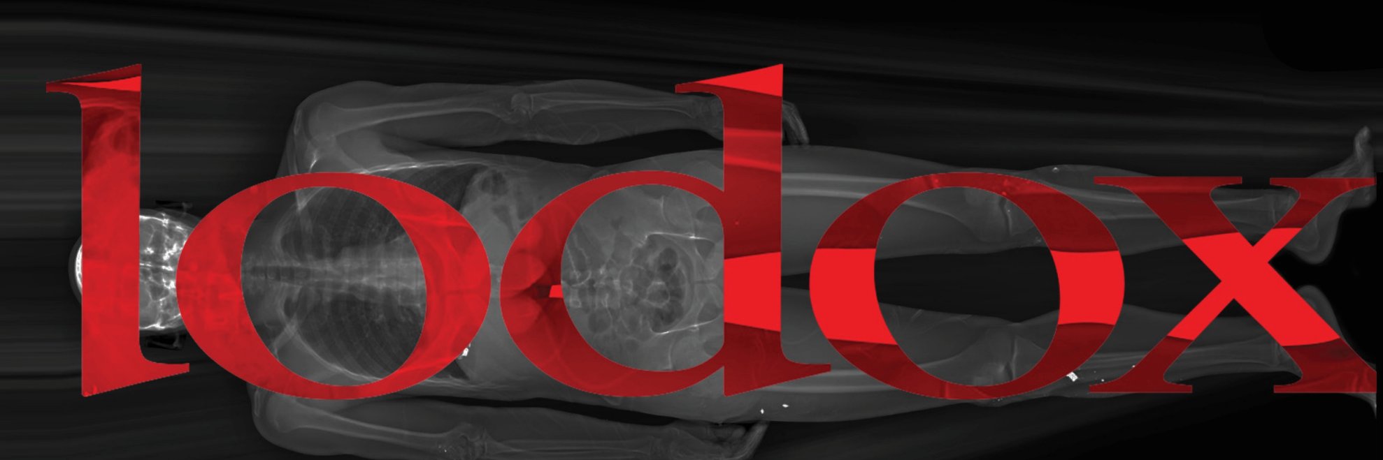 Lodox Systems banner