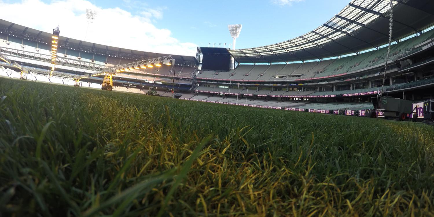 ⛩️ Sno Azuki banner