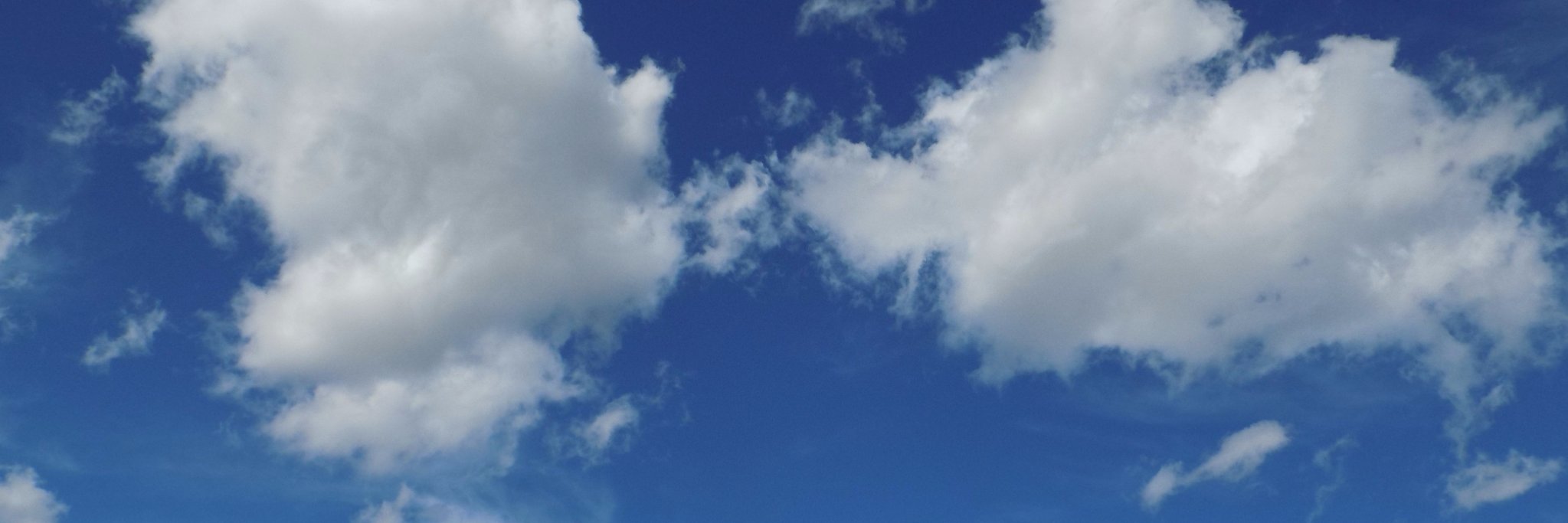 pizzabites8's profile banner image