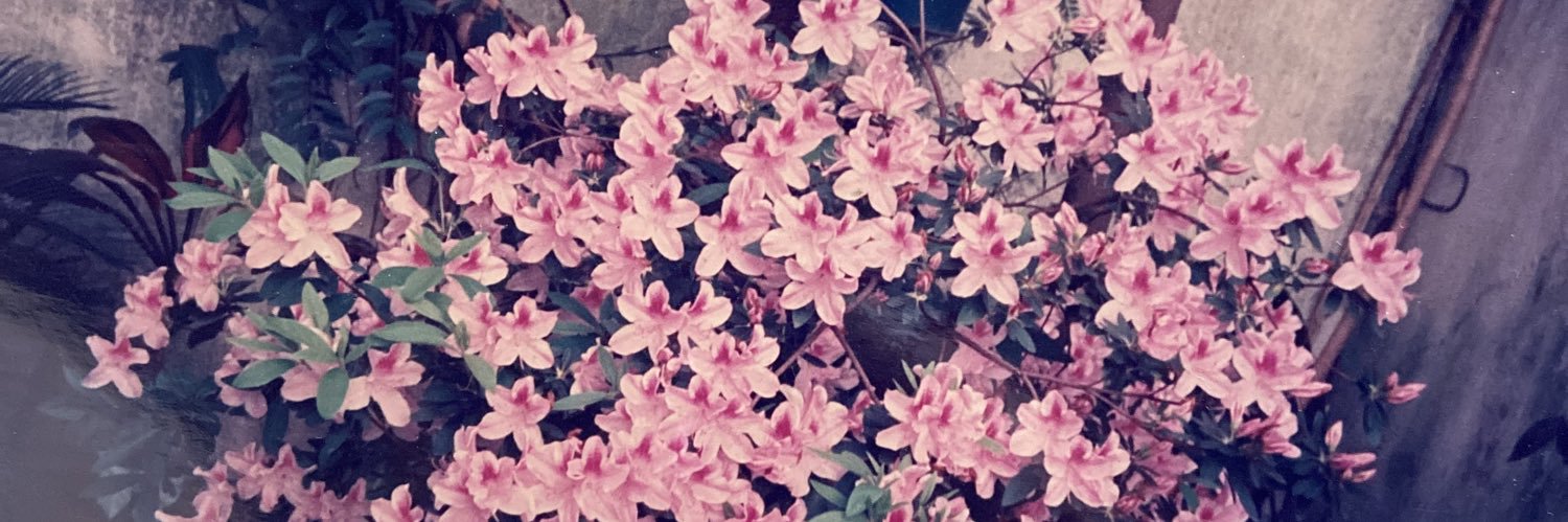 sofimer_'s profile banner image