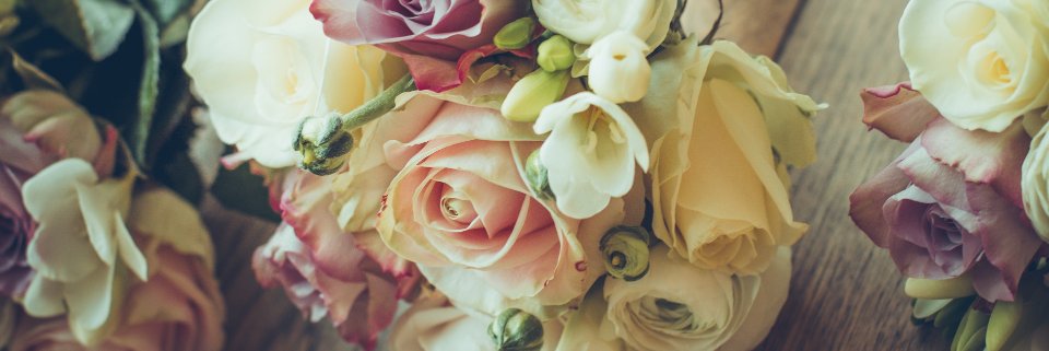 katymiaw's profile banner image