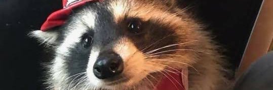 defmarkpp's profile banner image